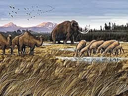 Pleistocene