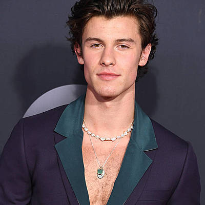 Timeline: Shawn Mendes - kariera