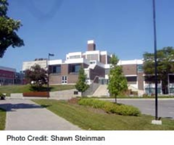 Graduate from university