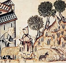 Fin de los Privilegios de la Mesta