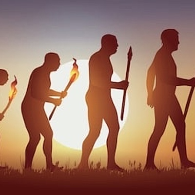 Timeline: Evolución de los Homínidos