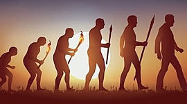 Timeline: Evolución de los Homínidos