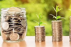 El programa de Pagos de Servicios Ambientales (PSA)