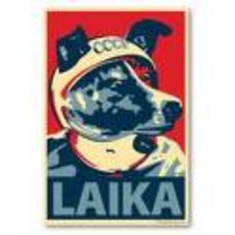 Laika the dog