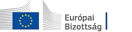 Európai Bizottság