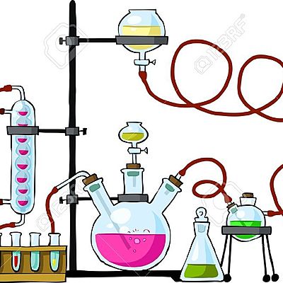 Timeline: Evolución de la organización de los elementos