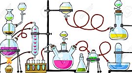 Timeline: Evolución de la organización de los elementos