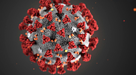 Timeline: covid-19 outbreak