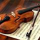 Violin stradivarius 1920 3