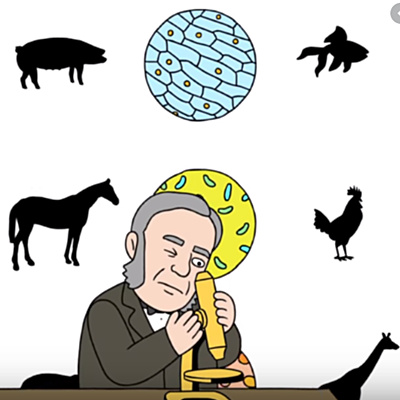 Timeline: HYSTORY OF CELLS THEORY-Angela Yepes Zamora timeline