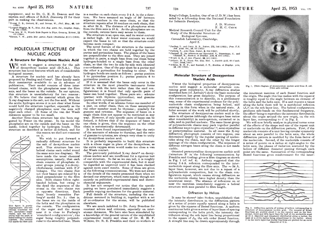 "Una estructura para el ADN"