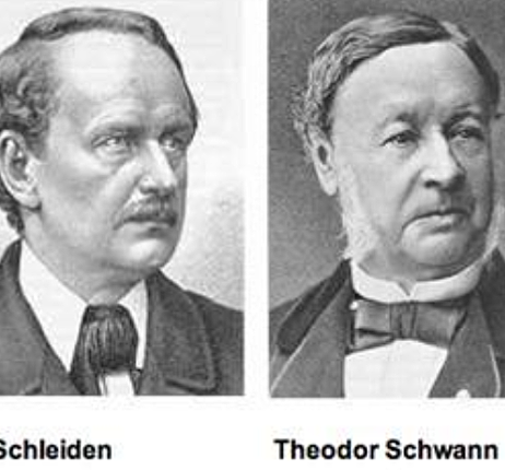 Theodor Schwann