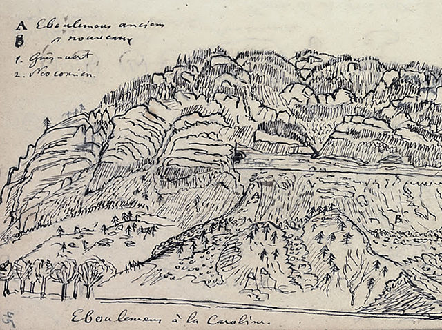 Felbücher Amanz Gressly