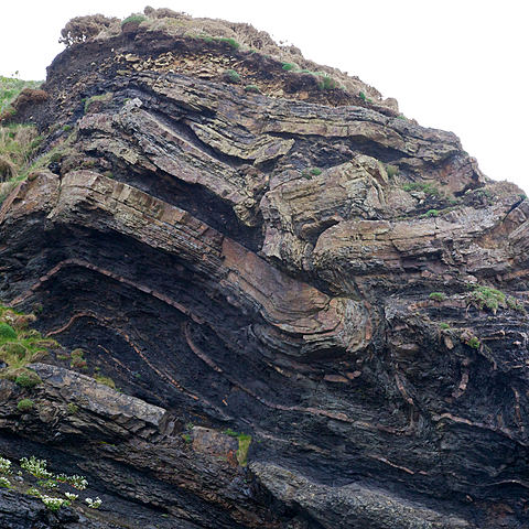 William Conybeare y William Phillips