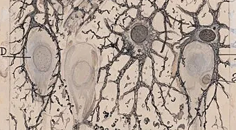 Santiago Ramon y Cajal