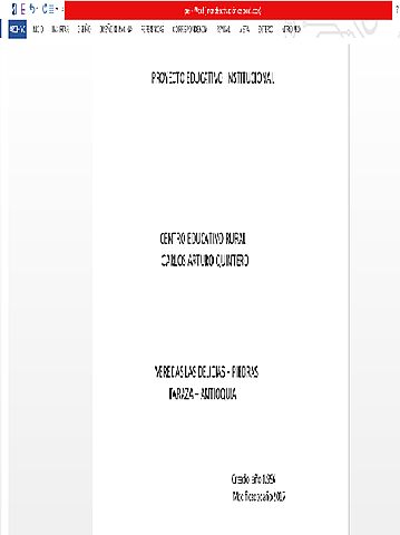 Ajuste de  PEI  a la Resolucion  N° 0523 -:-2005  y el  Decreto 1421---  :2017