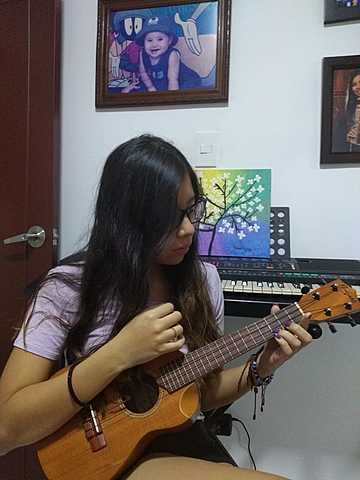 SING AND PLAYS THE INSTRUMENTS