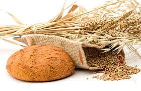 Elisha feeds one hundred men