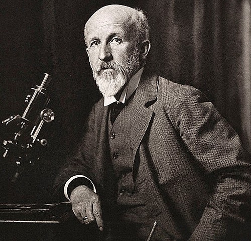 Oskar Hertwig et Eduard Strasburger