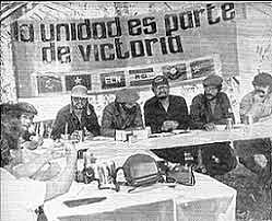 Coordinadora Nacional Guerrillera (CNG)