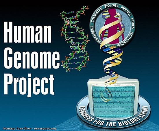 Le Projet génome humain
