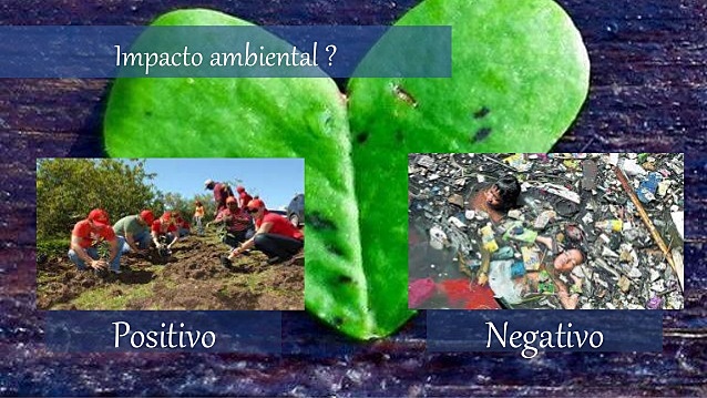 Conferencia sobre sostenibilidad, desarrollo y gestión del ecoturismo en las Américas