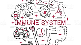 Timeline: Qual célula imune te define?