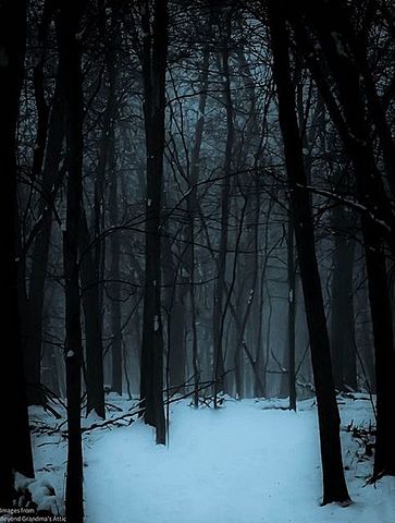 Abe returns to Solveig