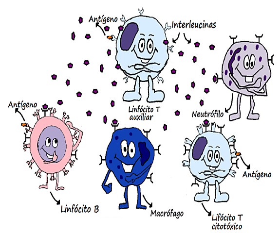 Nossos destinos foram traçados na maternidade!