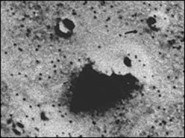 Pictures of Mars from Viking ship