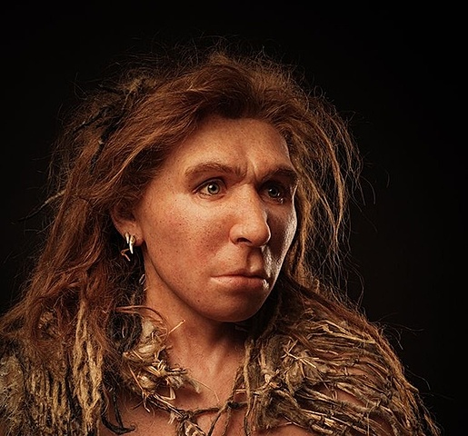 Homo neanderthalensis