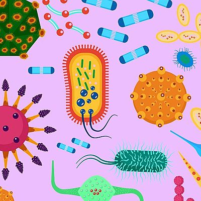 Timeline: Успехи микробиологии