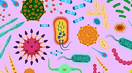 Timeline: Успехи микробиологии