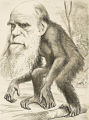 Charles Darwin: Evolúció elmélete