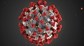 Timeline: CORONAVIRUS