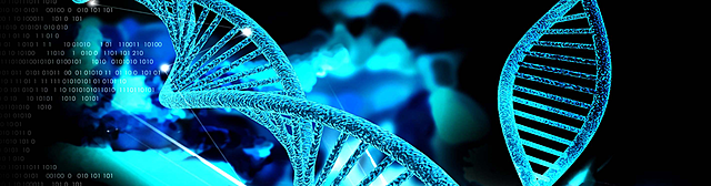 Un chemin sans fin ou retour