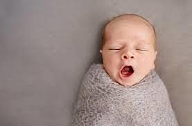 Elisha and the Shunammite woman