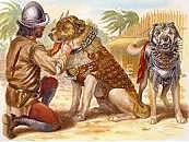 El perro como amigo fiel del hombre