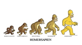 Timeline: Hominidos