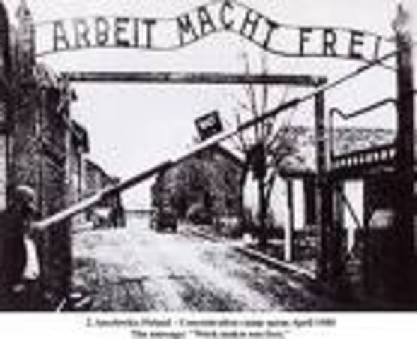 auschwitz