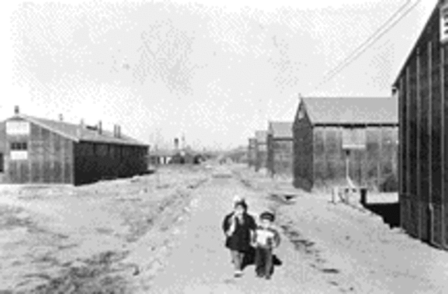 U.S. Concentration Camps