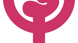 Timeline: feminismos