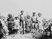 Sharecropping