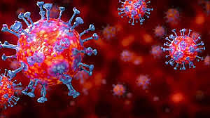 The Coronavirus pandemic