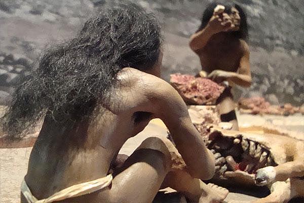 Etapa Lítica y sus Periodos