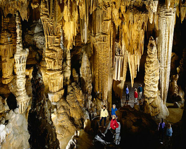 Holy Moly! Here lies beauty!