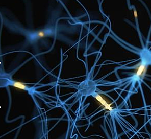 Neural networks are introduced