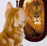 MIDDLECHILDHOOD- Self-Concept (Psychosocial)