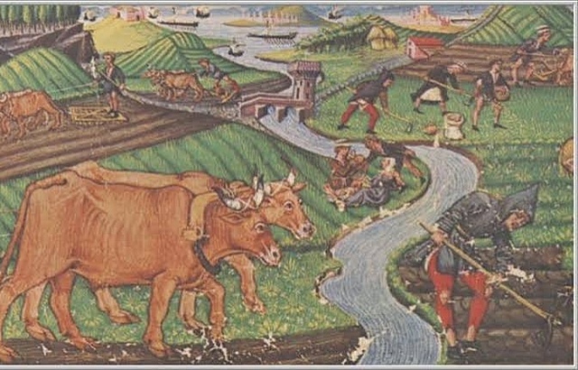 Consolidación del feudalismo.