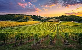 Inicia AGROSTAT fuente de informacion estadistica mundial sobre agricultura